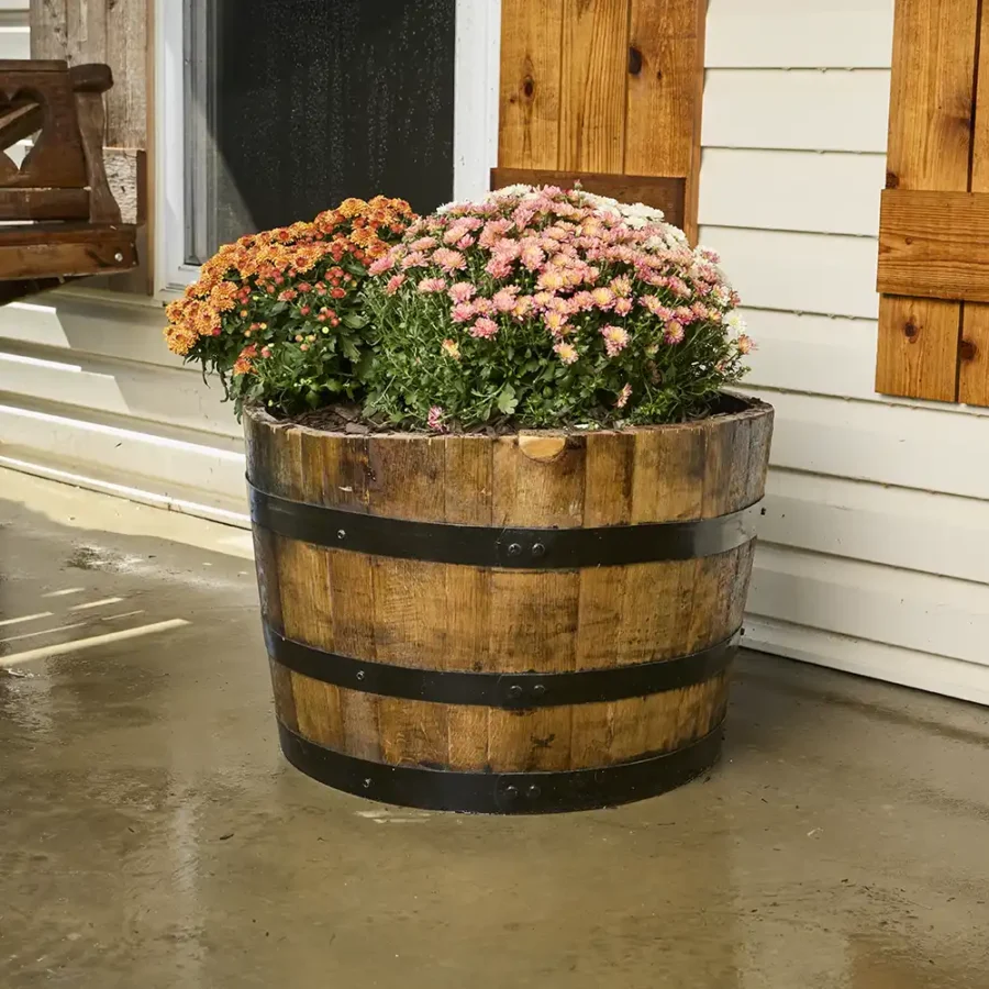 whiskey barrel planter with colorful flowers