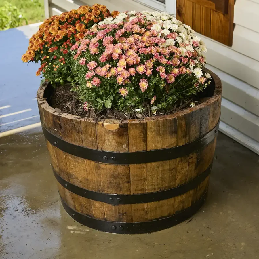 whiskey barrel planter with flowers and rings painted black