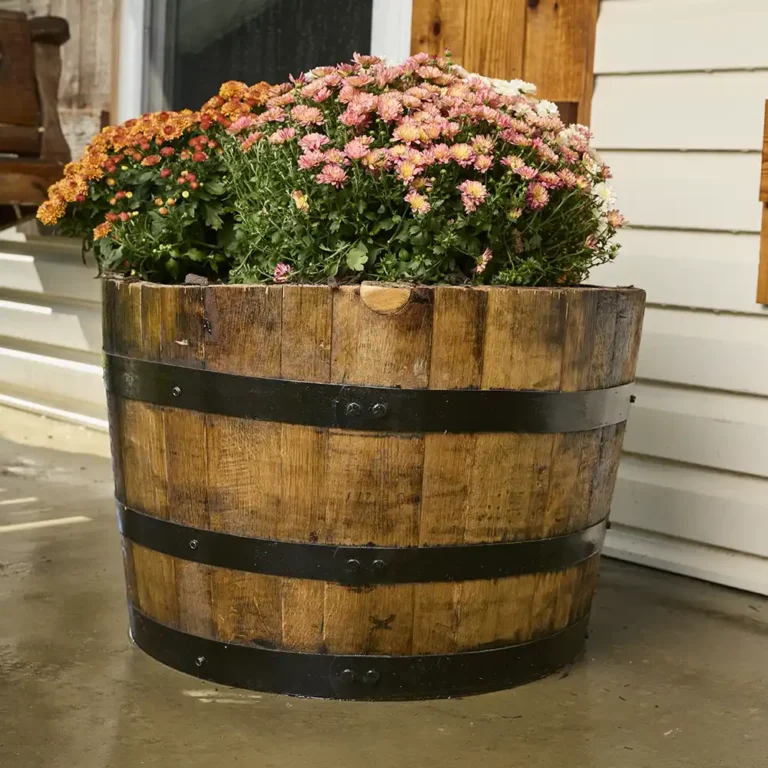 whiskey barrel planter with several flowers blooming